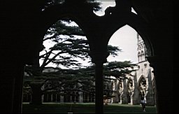 salisburycloister.jpg